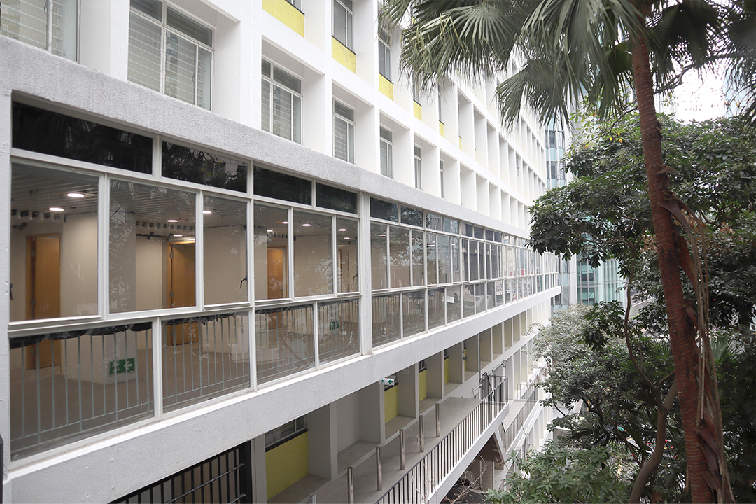 Crittal Steel Windows